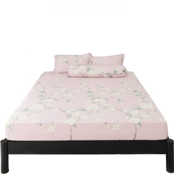 Tặng Drap tencel số 5