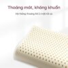 Tặng gối cao su 4