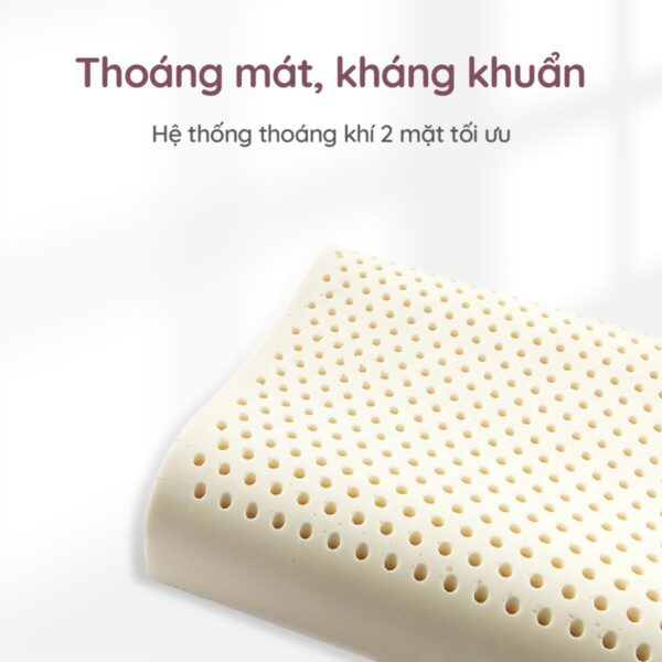 Tặng gối cao su 4