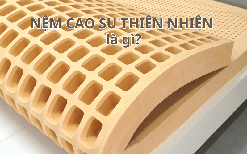 nệm cao su thiên nhiên